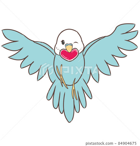Parakeet with a heart Parakeet with a heart 84904675