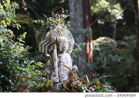 Scenery taken by focusing on a stone Buddha in a forest with many kinds of green leaves 84904984