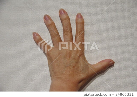 希伯登的節點 希伯登的節點 84905331