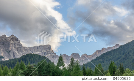 Pine forest line overlapping the Italian Dolomites ridge line 84905625