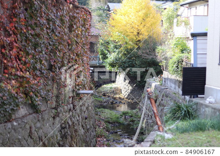 Scenery of the walking path_2 84906167