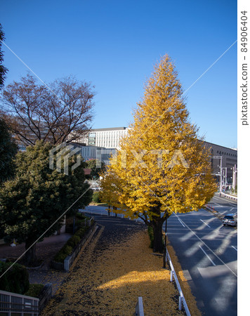 Scenery in front of Shinanomachi station Scenery in front of Shinanomachi station 84906404
