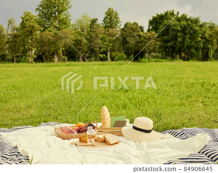 picnic concept There are a lot of things on the white cloth such as bread, fruits, a bottle of water, a hat and a notebook picnic concept There are a lot of things on the white cloth such as bread, fruits, a bottle of water, a hat and a notebook 84906645
