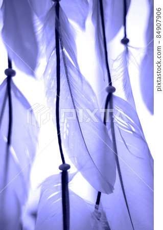 the color of 2022. bird feathers are a great background for design the color of 2022. bird feathers are a great background for design 84907906