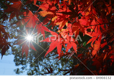 埼玉縣川越市古仙馬町 84908132