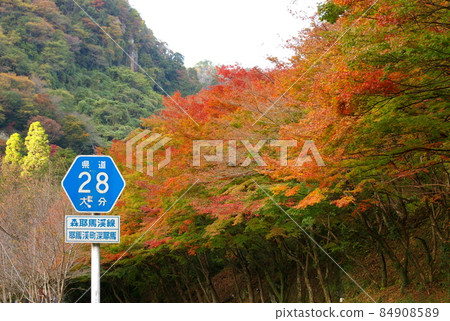 Autumn leaves of Oita prefecture 84908589