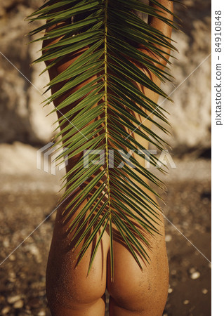 Close-up Woman's Tanned Naked Buttocks Under the Palm Leaf Shade on the Deserted Beach Outdoors Close-up Woman's Tanned Naked Buttocks Under the Palm Leaf Shade on the Deserted Beach Outdoors 84910848