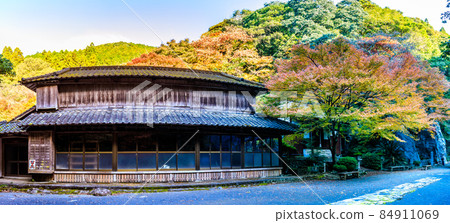 大雄寺[長崎縣ah早市]的500個Rakan（富川谷）秋葉全景 84911069