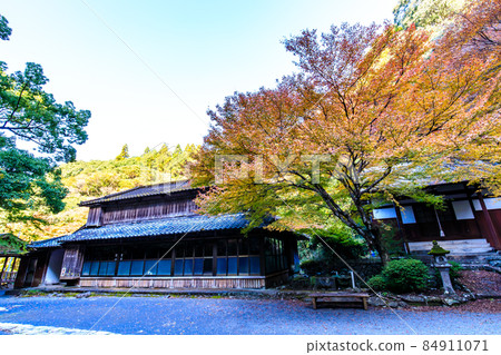 大老寺[長崎縣s早市] 500 Rakan（富川谷）的秋葉 84911071