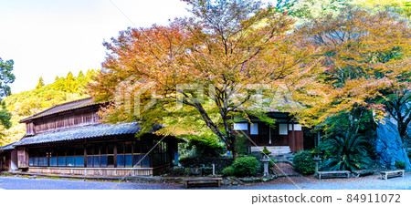 大雄寺[長崎縣ah早市]的500個Rakan（富川谷）秋葉全景 84911072