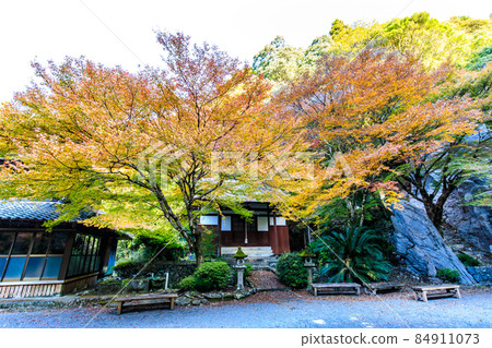 大老寺[長崎縣s早市] 500 Rakan（富川谷）的秋葉 84911073