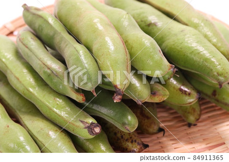 蠶豆，豆莢，收穫，特寫成分 84911365