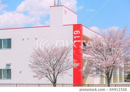 Sakura in Hokkaido 84911588
