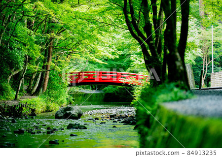 Okuni Shrine Fresh green and stream 84913235