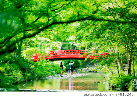 大國神社 清新的綠色和溪流 大國神社 清新的綠色和溪流 84913243