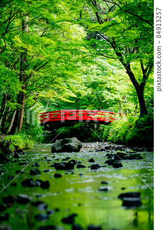 大國神社 清新的綠色和溪流 大國神社 清新的綠色和溪流 84913257