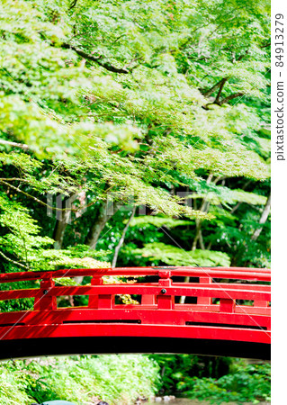 Okuni Shrine Fresh green and stream 84913279