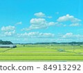 Landscape of countryside rice field 84913292