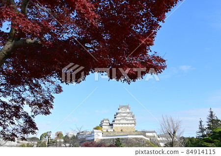 Autumn leaves and blue sky in front of Himeji Castle 84914115