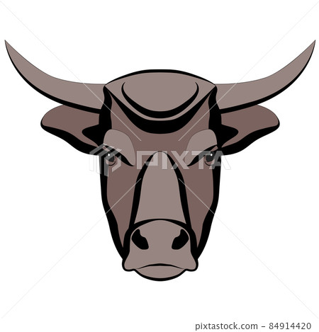 Bull head with horns close-up. Bull head with horns close-up. 84914420