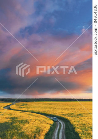 Aerial View Of Car SUV Parked Near Countryside Road In Spring Field Rural Landscape. Flowering Blooming Rapeseed, Oilseed In Field Meadow In Spring Season. Blossom Of Canola Yellow Flowers 84914836