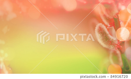 Pussy willows branches on a green background. Space for text. Pussy willows branches on a green background. Space for text. 84916720