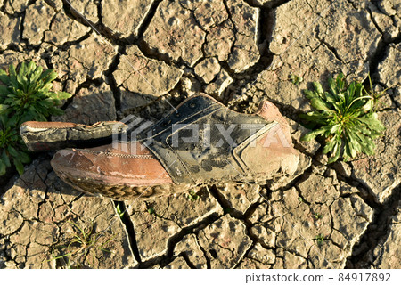 Drought cracked earth and an old trainer. 84917892