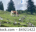 Engalm Valley at Karwendel mountains in Austria 84921422