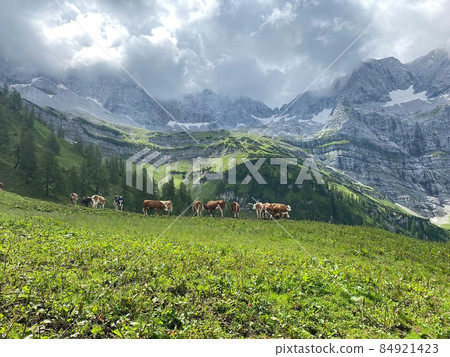 Engalm Valley at Karwendel mountains in Austria 84921423