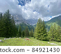 Engalm Valley at Karwendel mountains in Austria 84921430