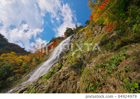 《Hyogo Prefecture》 Quasi-national park, scenery of Tendaki Valley [November] 84924979