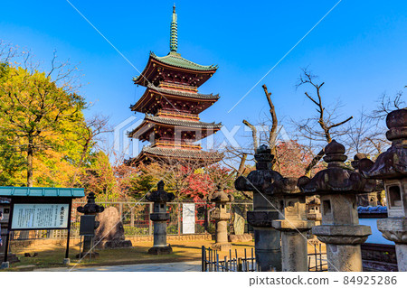 東京都台東區上野公園金永寺五層塔 84925286