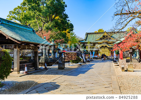 位於東京都台東區上野公園的上野東照宮 位於東京都台東區上野公園的上野東照宮 84925288