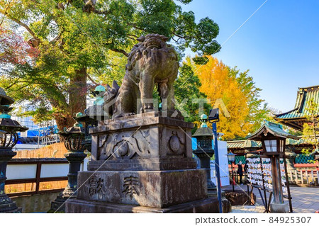 Ueno Toshogu Shrine guardian dog in Ueno Park, Taito-ku, Tokyo Ueno Toshogu Shrine guardian dog in Ueno Park, Taito-ku, Tokyo 84925307