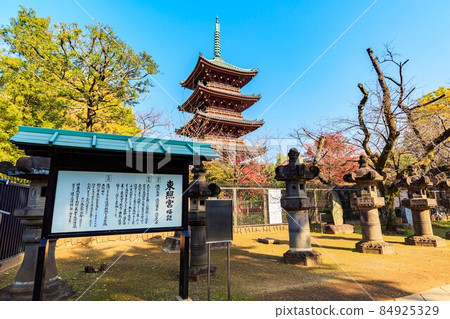 東京都台東區上野公園金永寺五層塔 東京都台東區上野公園金永寺五層塔 84925329