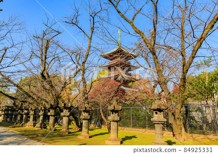 東京都台東區上野公園金永寺五層塔 東京都台東區上野公園金永寺五層塔 84925331