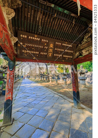 東京都台東區上野公園上野東照宮水社門 東京都台東區上野公園上野東照宮水社門 84925333