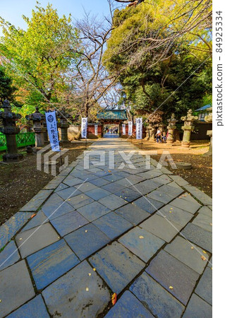 東京都台東區上野公園上野東照宮水社門 東京都台東區上野公園上野東照宮水社門 84925334