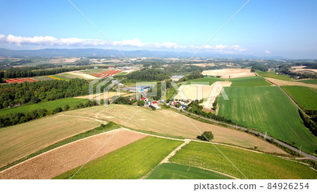 Patchwork hill in Biei, Hokkaido 84926254