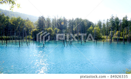 北海道美瑛町的藍塘 北海道美瑛町的藍塘 84926335