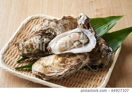 Oyster with shell 84927107