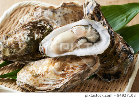 Oyster with shell 84927108