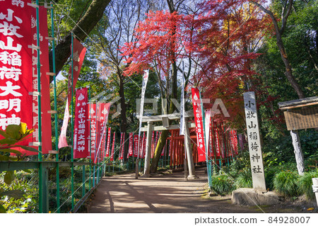 愛知縣小牧市堀之內小牧山稻荷神社 吉五郎稻荷神社 愛知縣小牧市堀之內小牧山稻荷神社 吉五郎稻荷神社 84928007