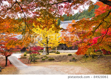 Higashiomi's Tokoji 2021 Autumn 84928061