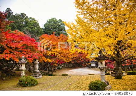 Higashiomi's Tokoji 2021 Autumn 84928073