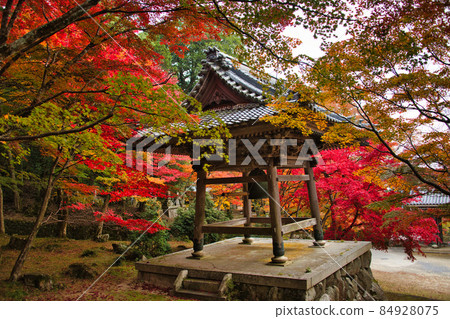 Higashiomi's Tokoji 2021 Autumn 84928075