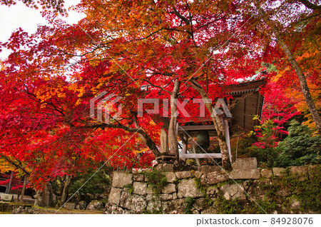 Higashiomi's Tokoji 2021 Autumn 84928076