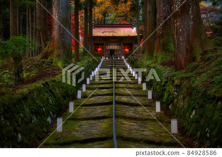 Konshozan Konsho-ji Temple Fall 2021 84928586