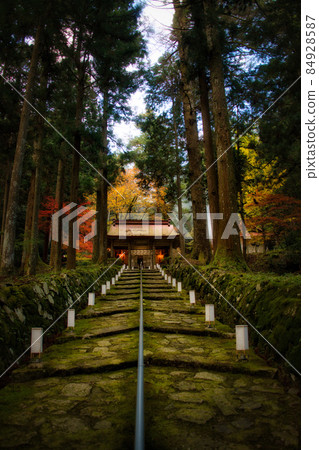 金正山金正寺 2021 年秋季 84928587