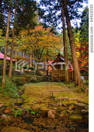 金正山金正寺 2021 年秋季 84928595